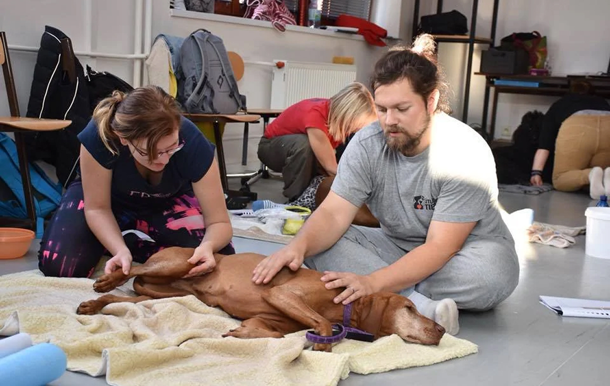 Osteodynamika – předání certifikátu